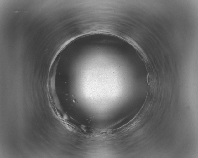 X0000056340956200509161732
