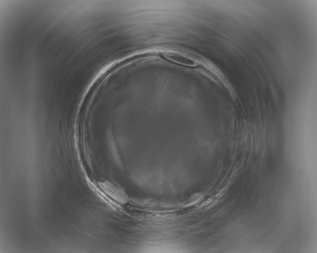 X0000056340958200509161732