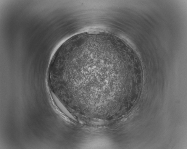 X0000056340960200509161732