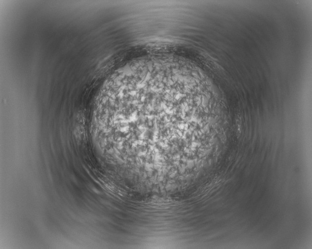 X0000056340964200509161731
