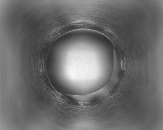 X0000056340965200509161731