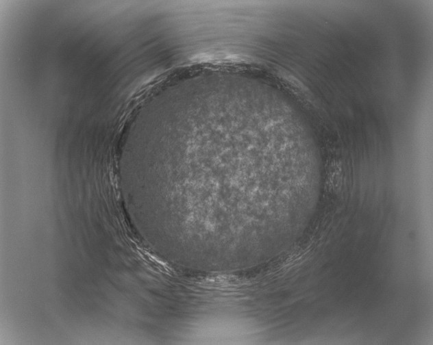 X0000056340966200509161731