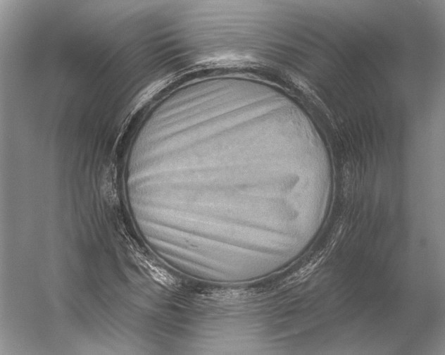 X0000056340970200509161731