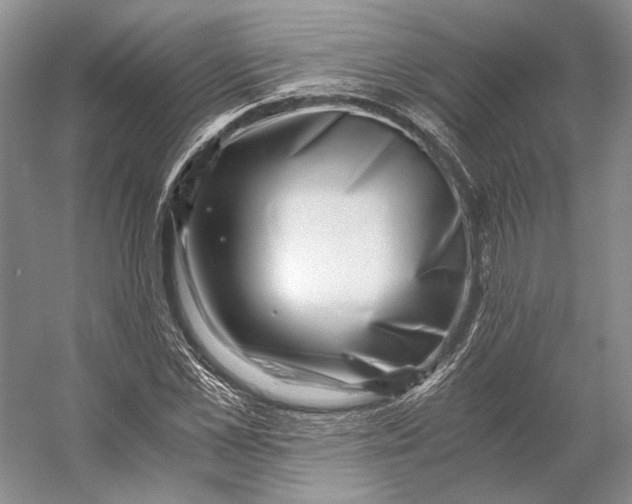 X0000056340973200509161731