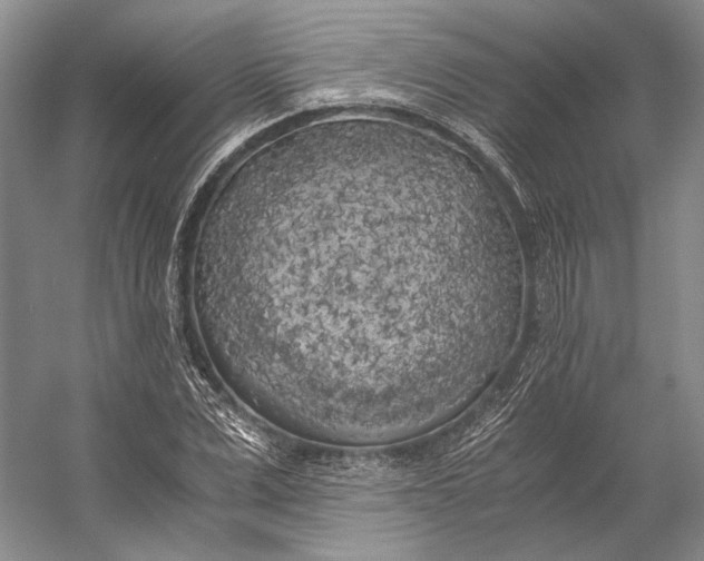 X0000056340975200509161731