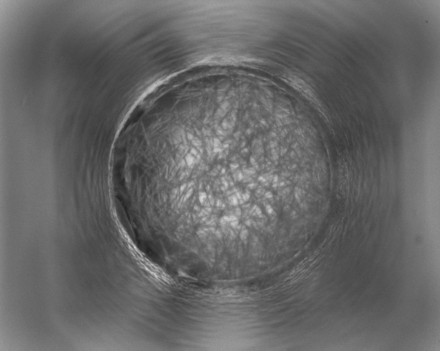 X0000056340976200509161731