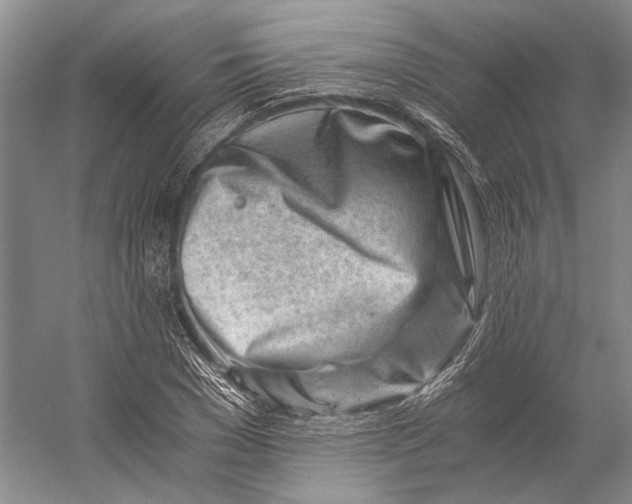 X0000056340977200509161731