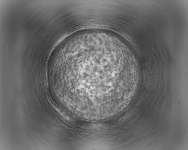 X0000056340982200509161731