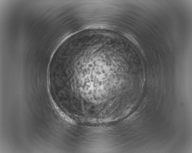 X0000056340984200509161731