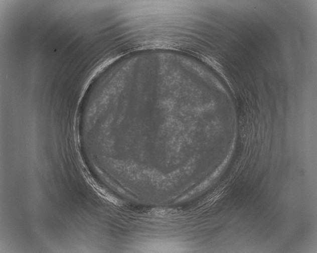 X0000056340987200509161731