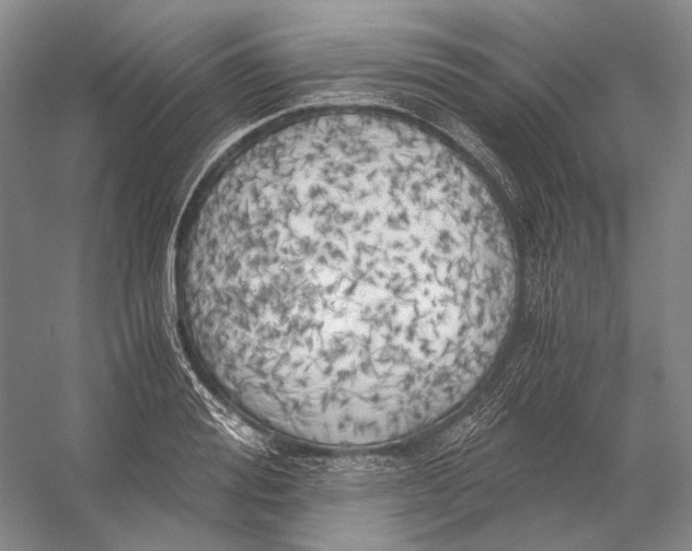X0000056340988200509161731