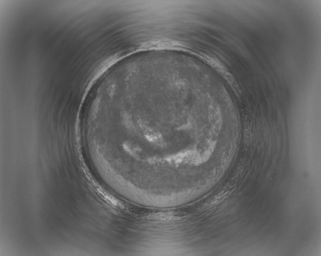 X0000056340990200509161731