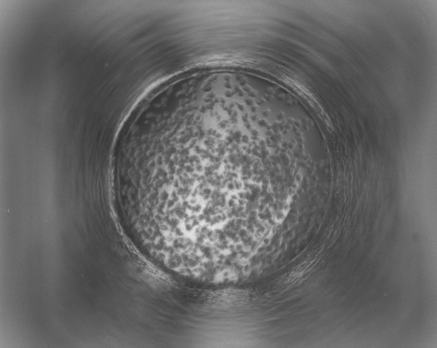 X0000056340992200509161731