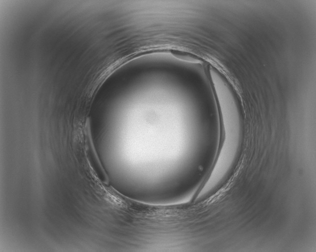 X0000056340993200509161731