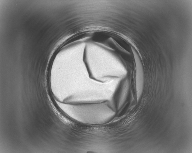 X0000056340995200509161731