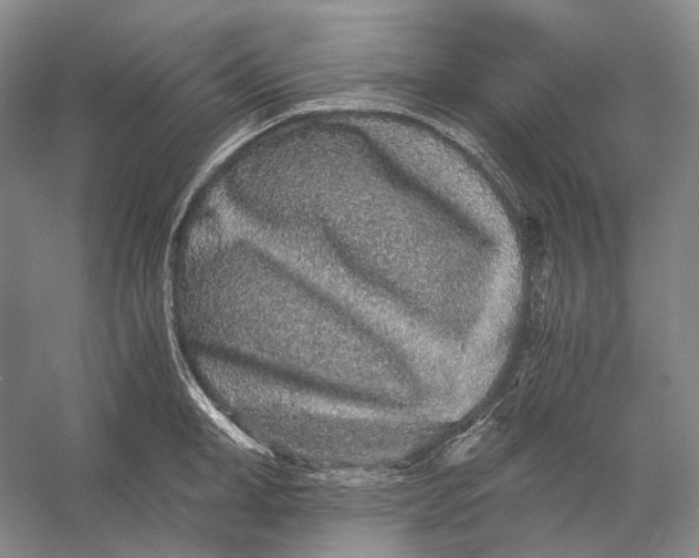 X0000056340998200509161731