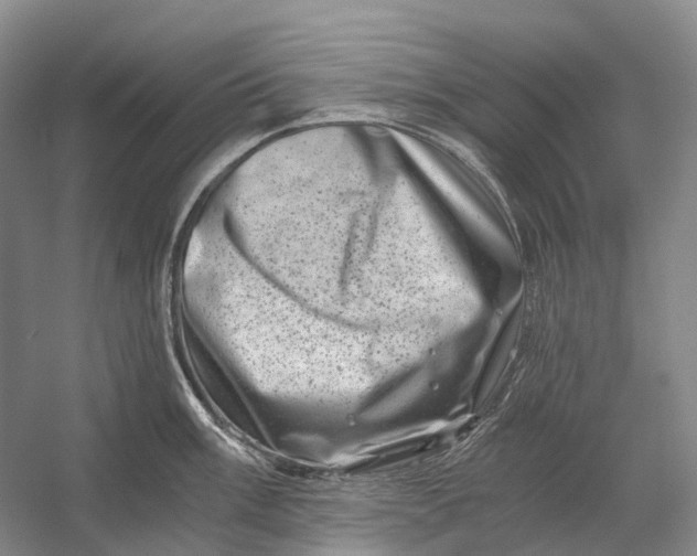 X0000056341003200509161731
