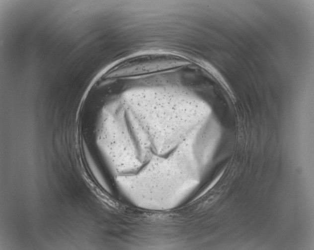 X0000056341004200509161731