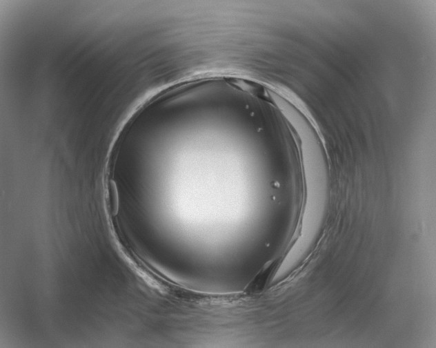 X0000056341005200509161731