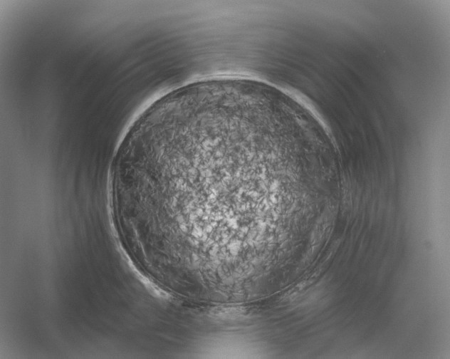 X0000056341006200509161731