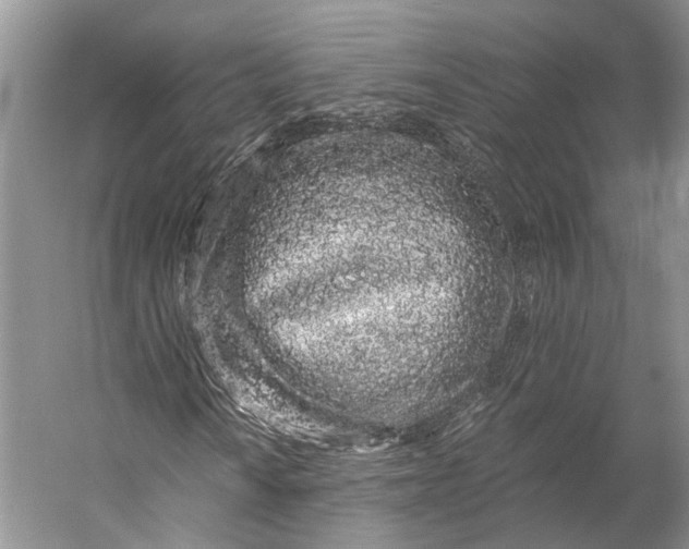 X0000056341010200509161730