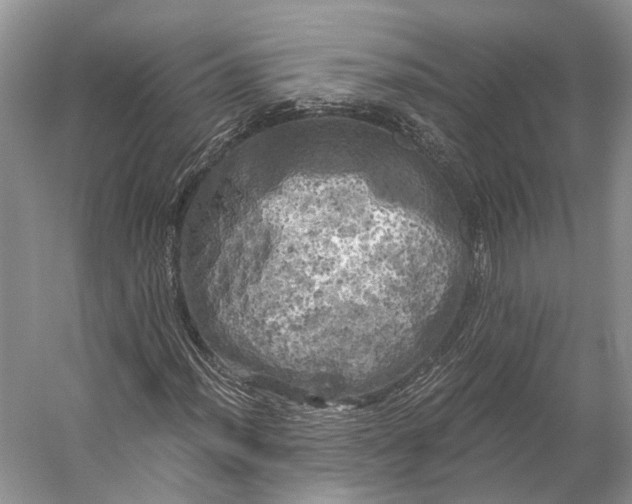 X0000056341012200509161730