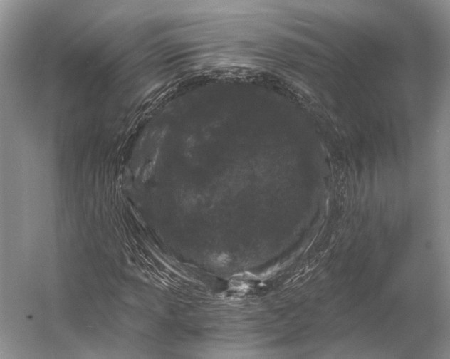 X0000056341013200509161730