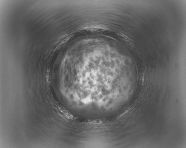 X0000056341014200509161730
