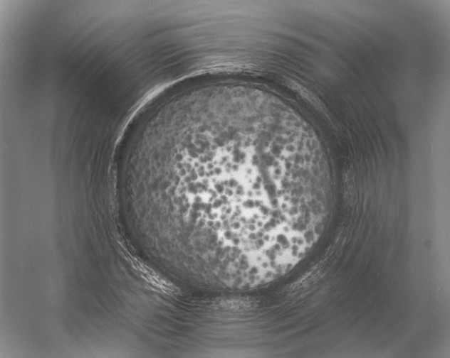 X0000056341021200509161730