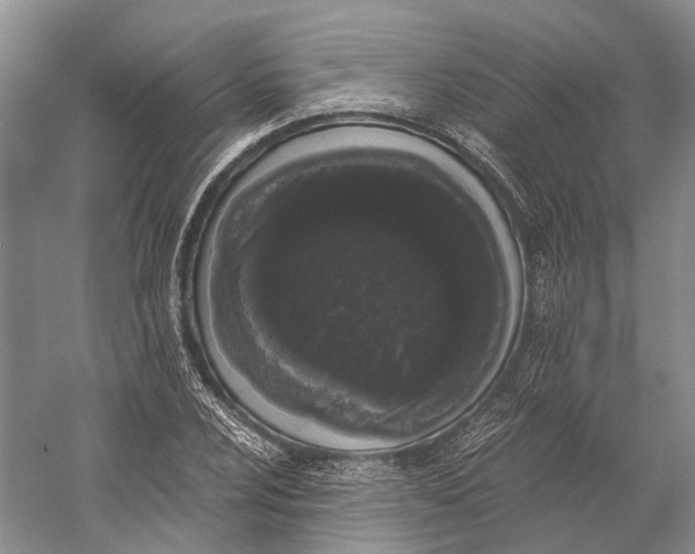 X0000056341024200509161730