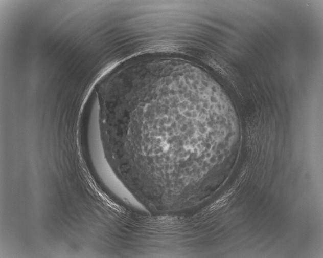 X0000056341029200509161730