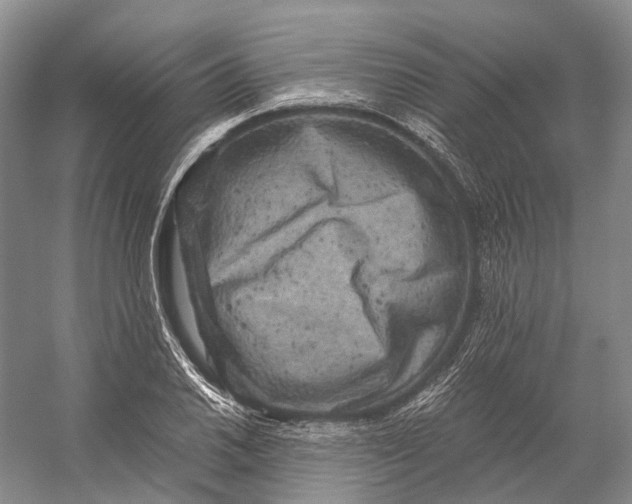 X0000056341030200509161730