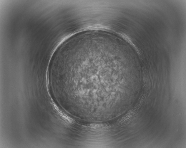 X0000056341032200509161730