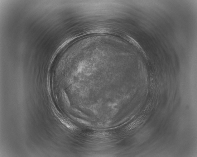 X0000056341035200509161730