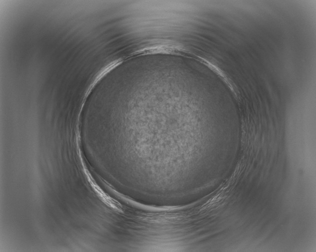 X0000056341042200509161730