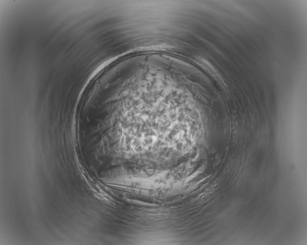 X0000056341044200509161730