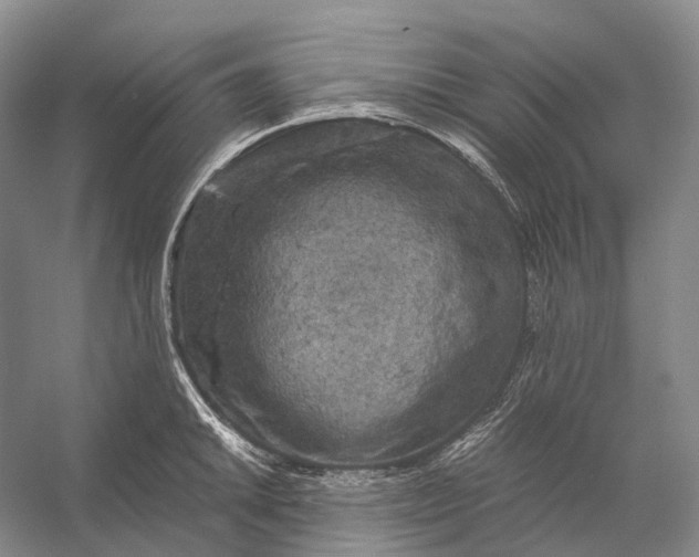X0000056341046200509161730