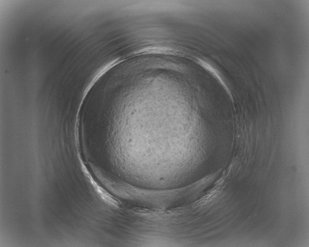 X0000056341050200509161730