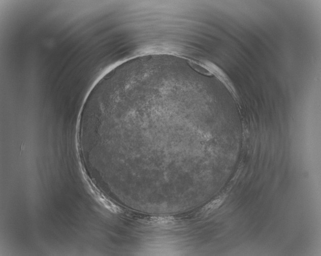 X0000056341052200509161731