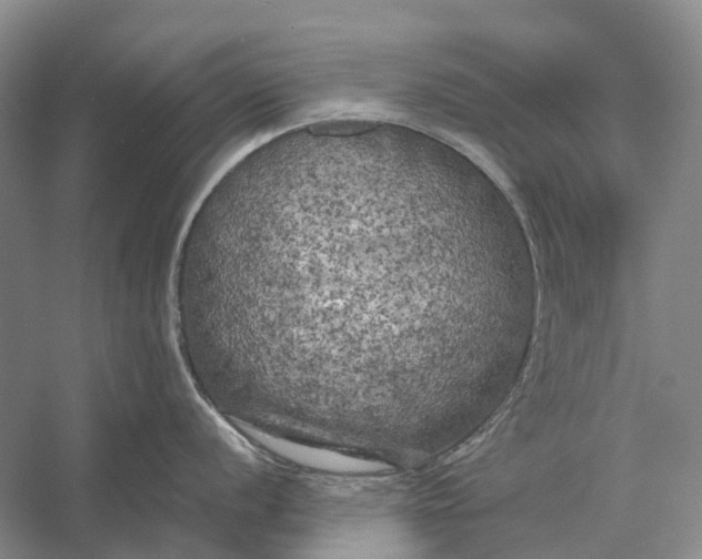 X0000056341056200509161731