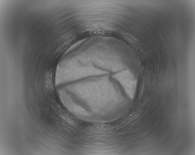 X0000056341060200509161730