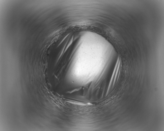 X0000056341062200509161730