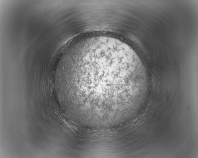 X0000056341064200509161730
