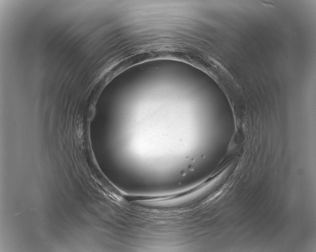 X0000056341065200509161730