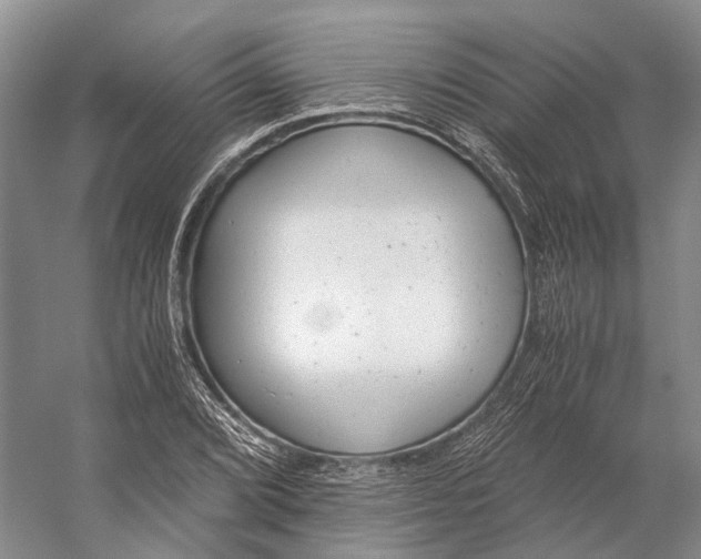 X0000056341072200509161730