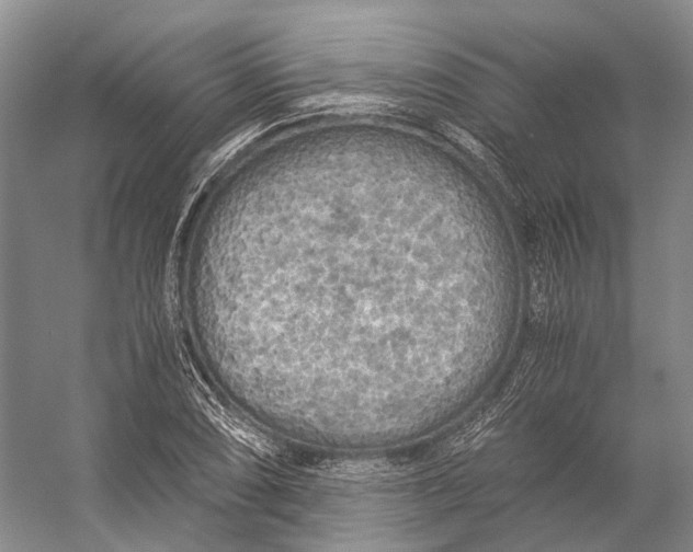 X0000056341074200509161729