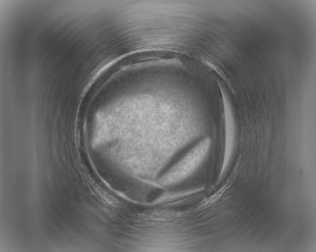 X0000056341077200509161729