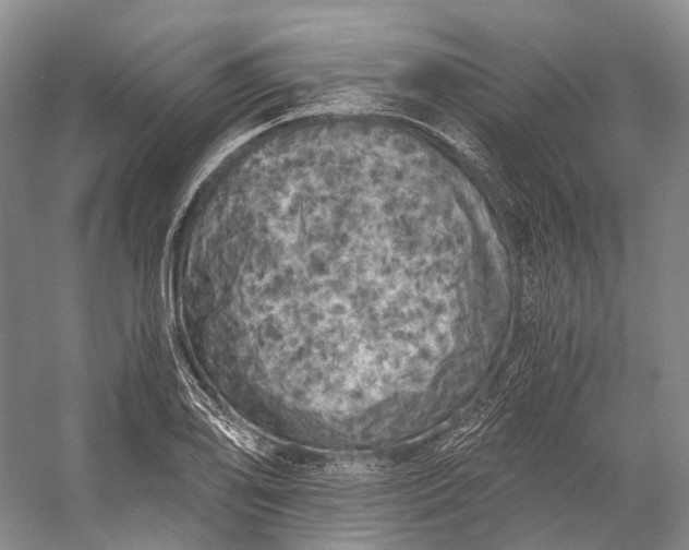 X0000056341078200509161729
