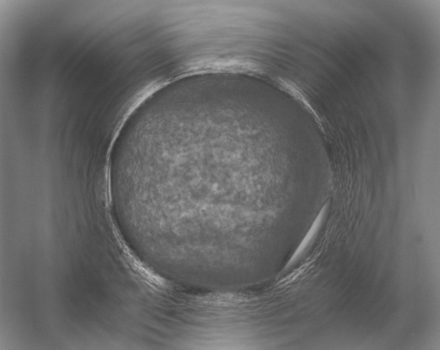 X0000056341079200509161729