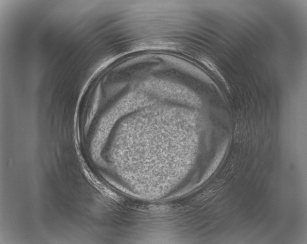 X0000056341080200509161729
